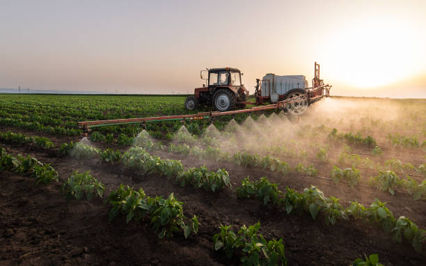 Lawn Pest Control in Seco Mines, TX